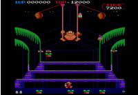 donkey kong 3