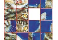 jigsaw puzzle