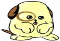 neo pets