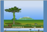 yeti sports 5